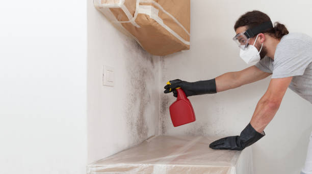 Professional Basement Mold Remediation technician working in Ahoskie, NC