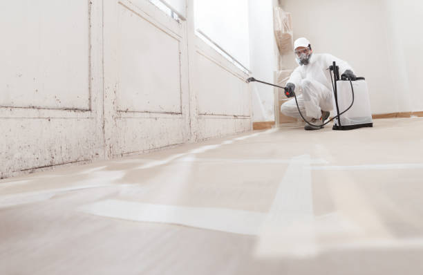 24/7 Emergency Basement Mold Remediation experts in Ahoskie, NC